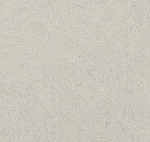 Линолеум Forbo Marmoleum Marbled Authentic 3860 silver shadow фото 1 | FLOORDEALER